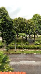 Jalan Sinar Bintang (D17), Terrace #556108831